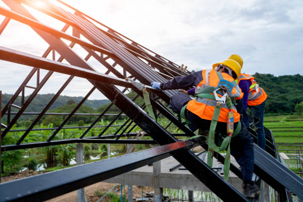 Best Storm Damage Roof Repair  in Fayetteville, TN